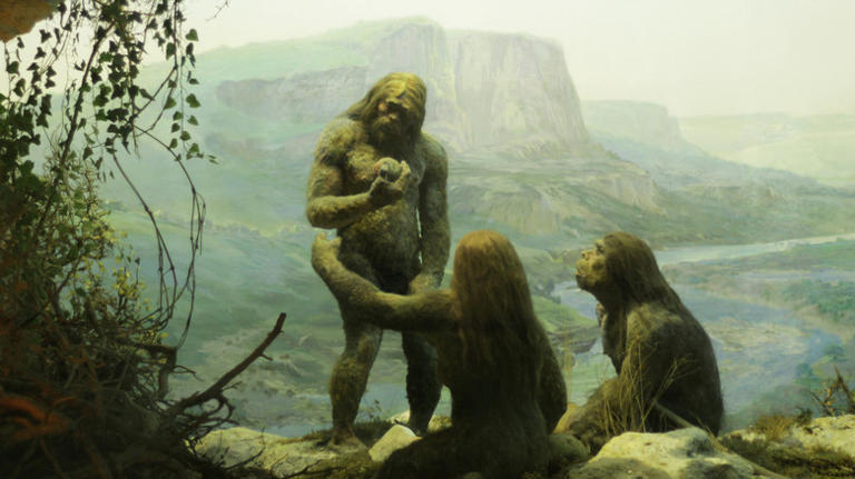DNA của người Neanderthal có ảnh hưởng bất ngờ đến sức khỏe con người